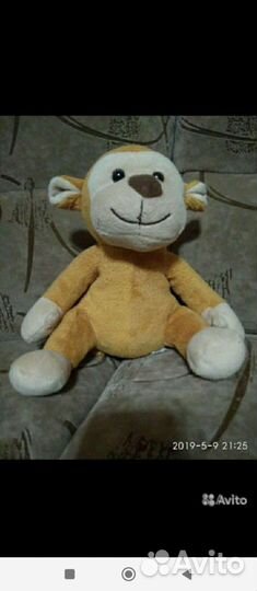 Говорящий свин