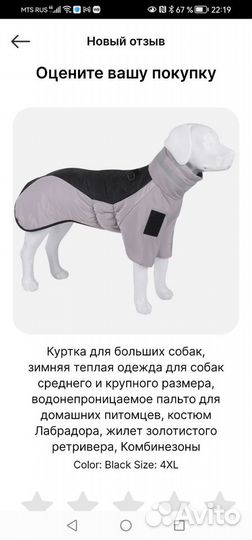 Зимняя куртка для собаки