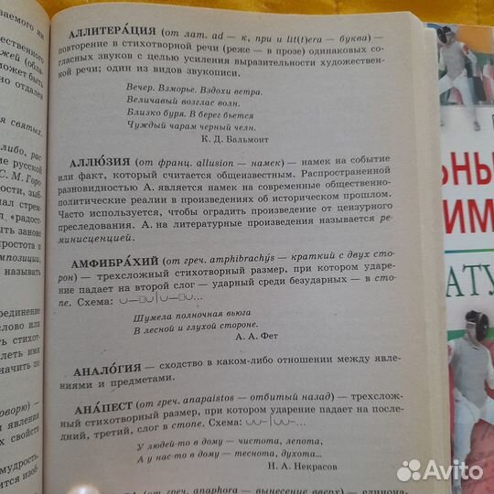 Книги по литературе для школьников и репетиторов