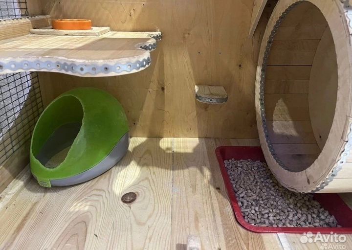 Витрина для шиншилл