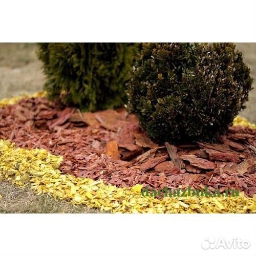 Мульча: Кора лиственницы и сосны, Щепа сосны