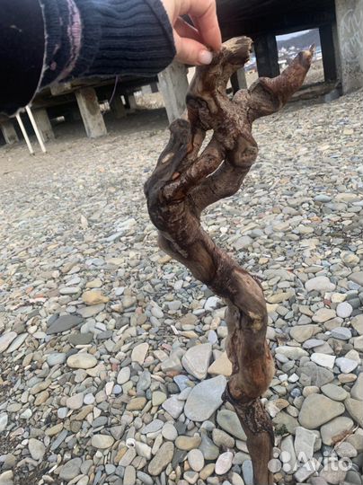 Флористика