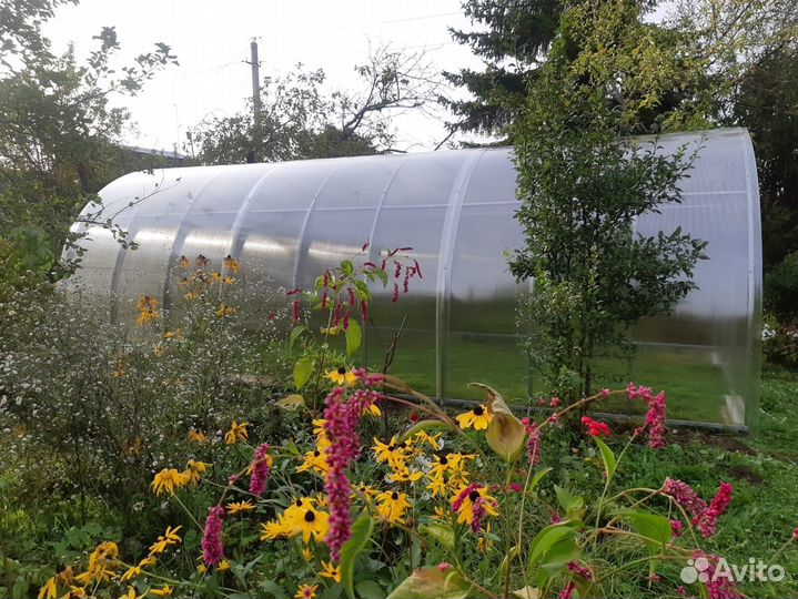 Теплица 6 метров