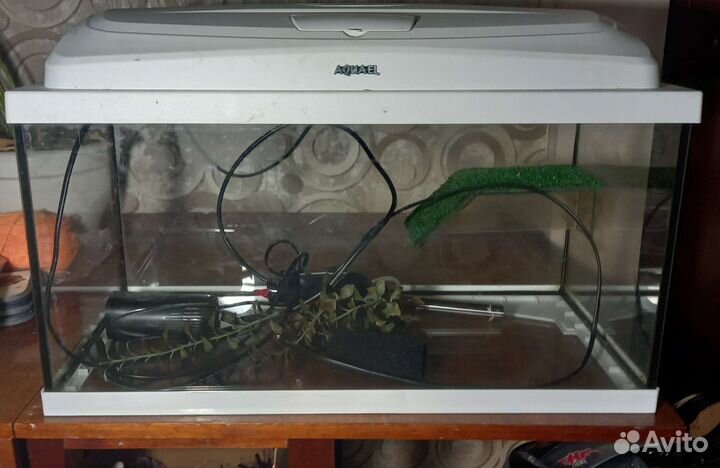 Аквариум