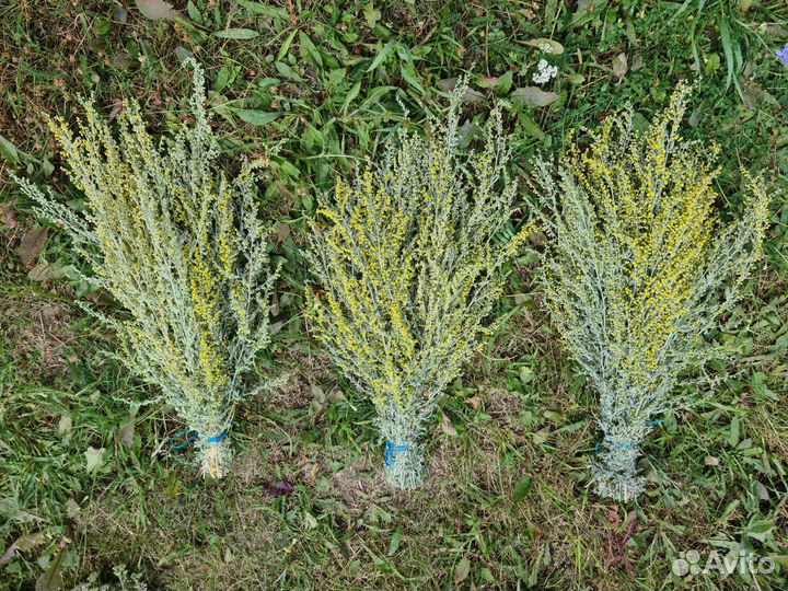 Травы для бани