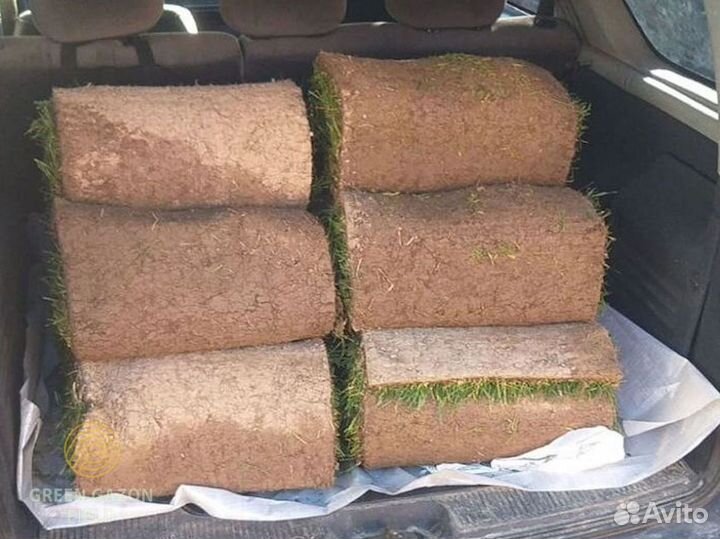 Полевой рулонный газон универсальный от производит