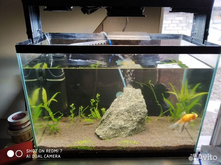Аквариум действующий