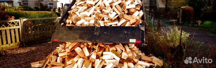 Дрова осина