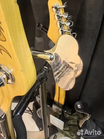 Бас гитара 5 струн FGN j-standard