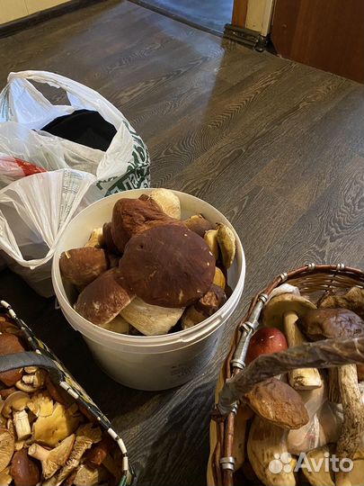 Белые грибы под заказ