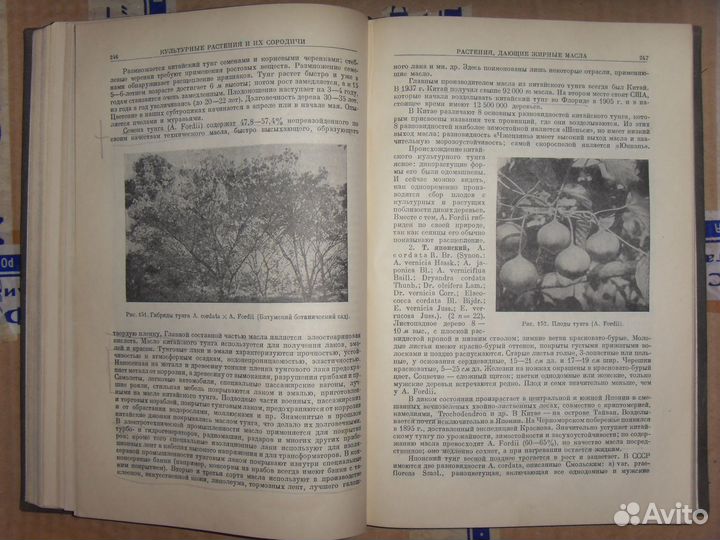 Культурные растения и их сородичи. Жуковский, 1950