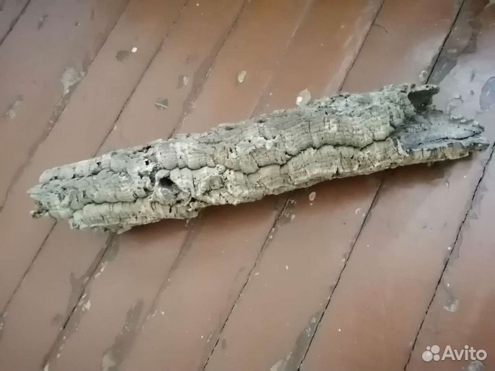 Кора пробкового дерева