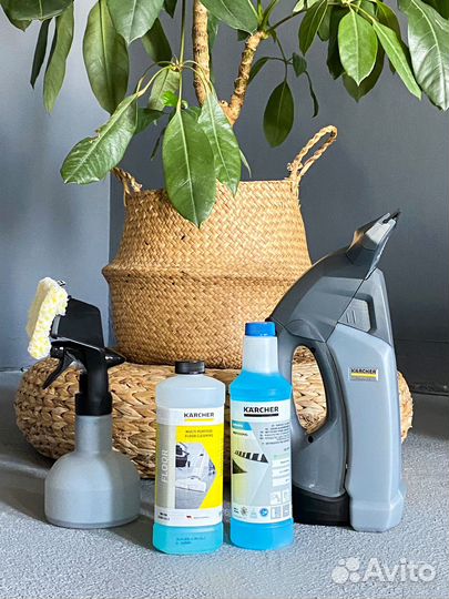 Аренда оборудования для химчистки