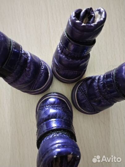 Обувь для маленьких собак