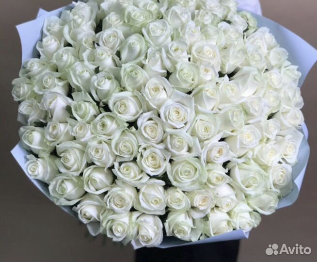 Розы букеты 25 31 51 101