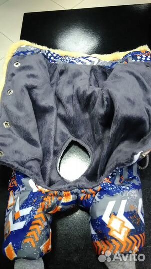 Комбинезон для кобеля размер S