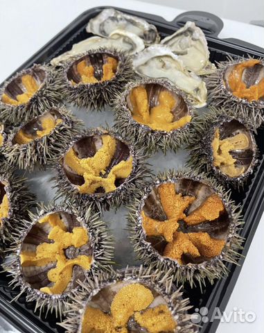 Морской еж с Доставкой