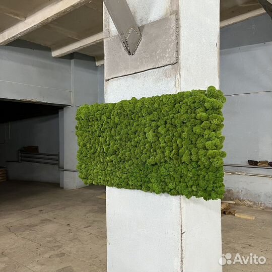 Панель из мха