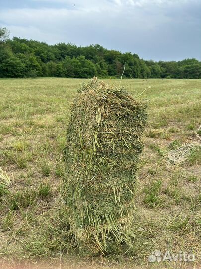 Сено в тюках