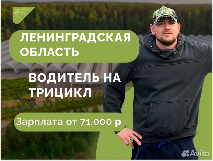 Водитель на трицикл приём элитных сортов ягод