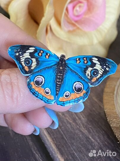 Брошь бабочка