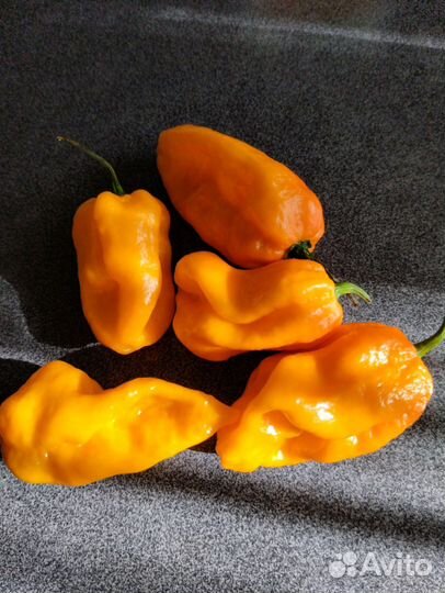 Перец super острый