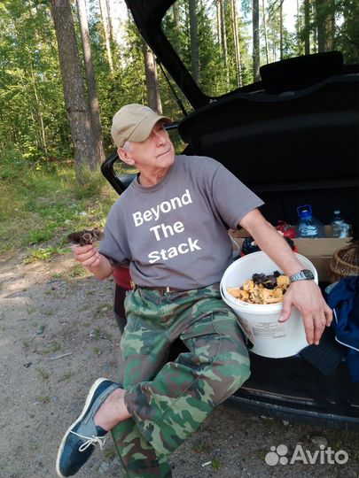 Лисичка черные