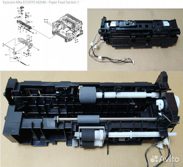 Мфу Kyocera Mita ecosys M2540dn в разборе