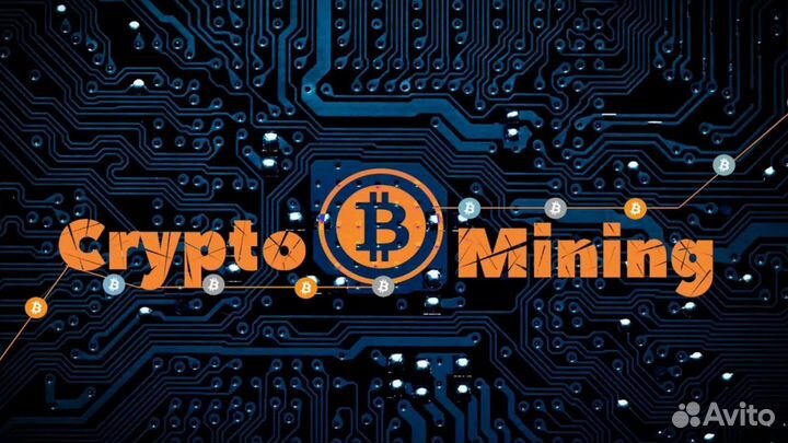 Организация майнинг ферм, обслуживание, обучение