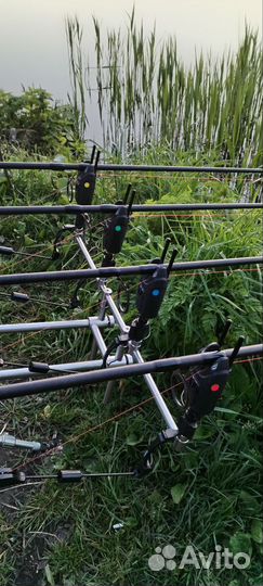 Карповый комплект из 4