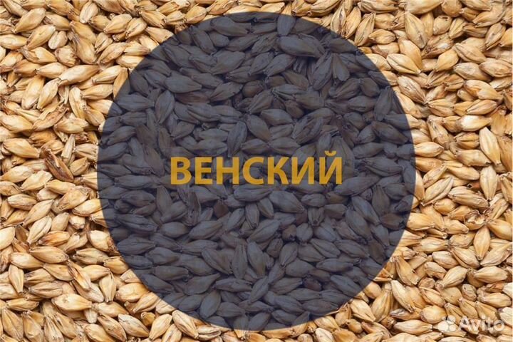 Солод ячменный, светлый 