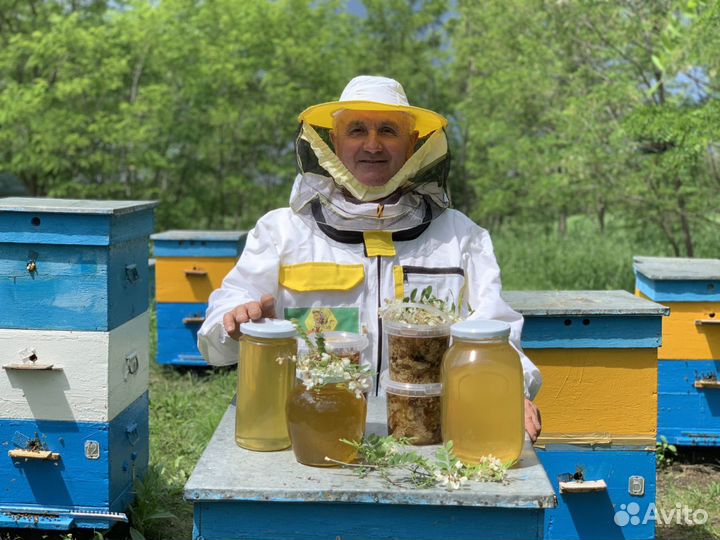 Мед белая акация 3л 2023 с доставкой бесплатно