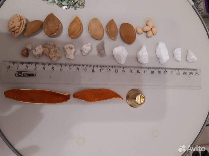 Природный материал для поделок