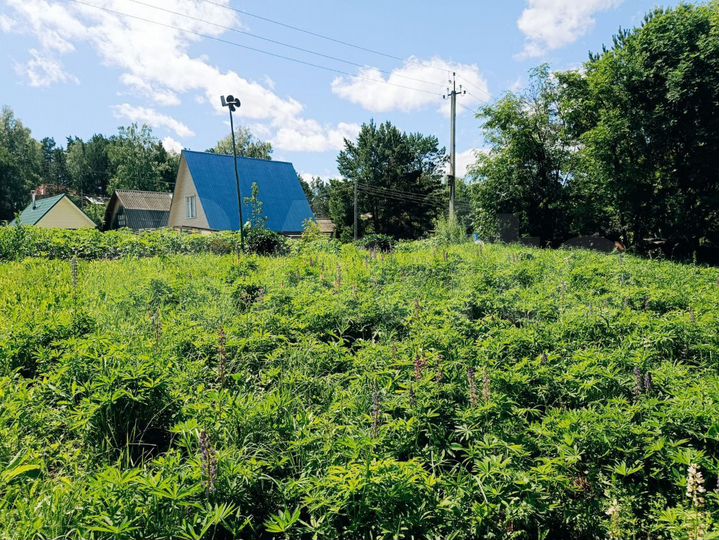 Участок 5,2 сот. (СНТ, ДНП)