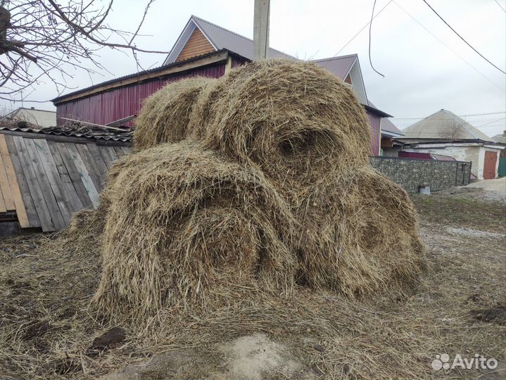 Сено в рулонах