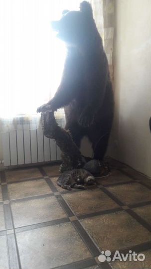 Охота и рыбалка