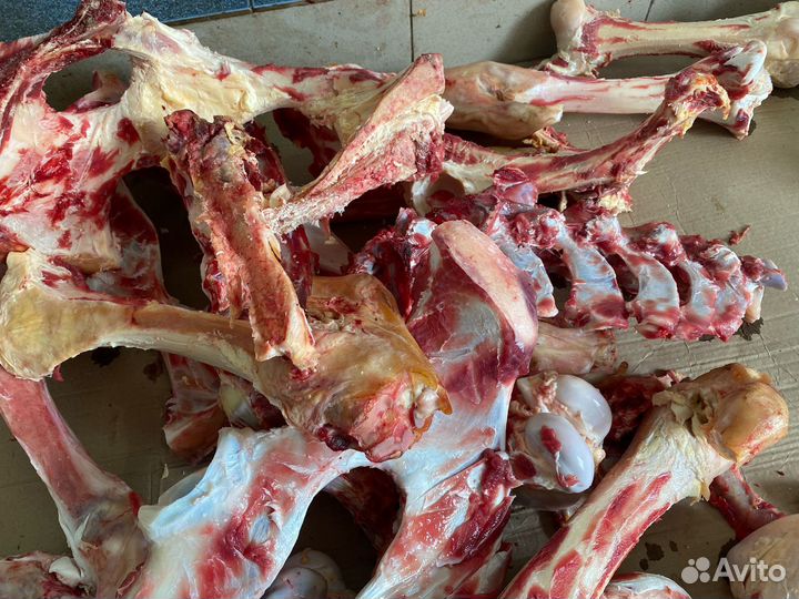 Кости говядина для собак