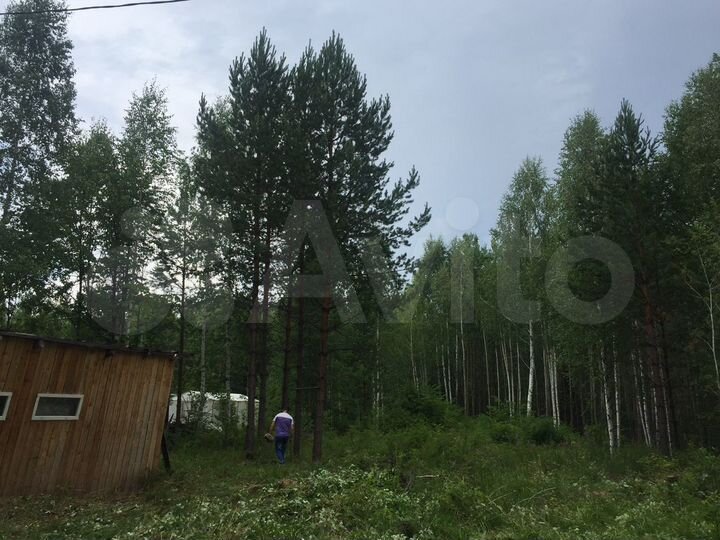 Участок 14 сот. (СНТ, ДНП)