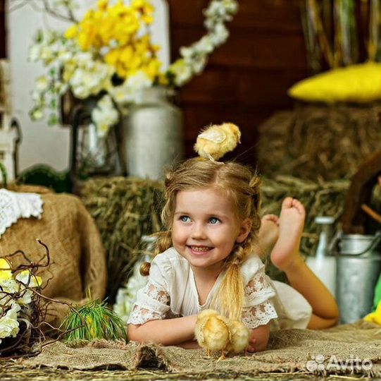 Фотопроект