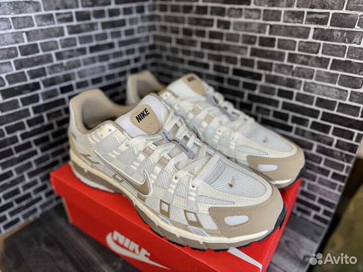 Кроссовки Nike P 6000