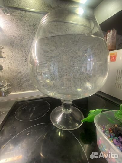 Аквариум Бокал 8 литров