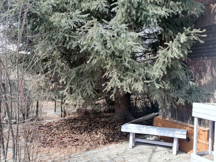 Дача 32 м² на участке 6 сот.