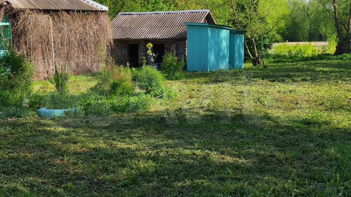 Дом 37 м² на участке 82 сот.