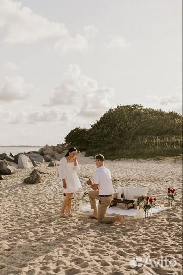 Организация мероприятий / предложения