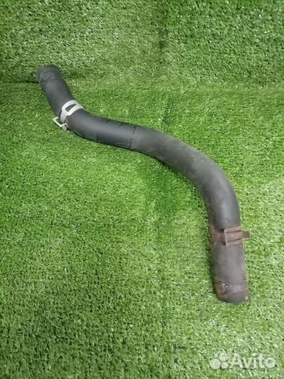 Патрубок охлаждения (радиатора) 19502-PLC-J00нижни