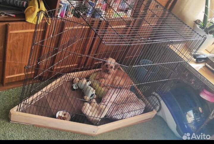 Клетка вольер для большой собаки бу