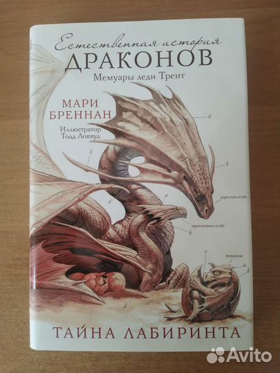 Мари Бреннан 