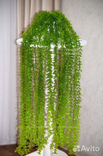 Лиана (искусственная )