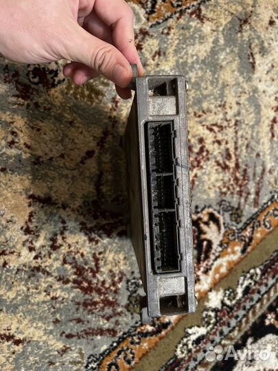 Эбу, мозги на Honda