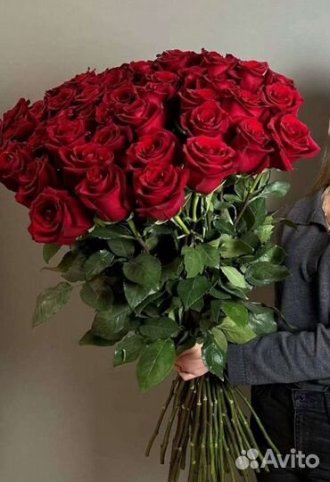 Розы Эквадор 50 см